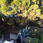 Marta * 罗戈兹尼察