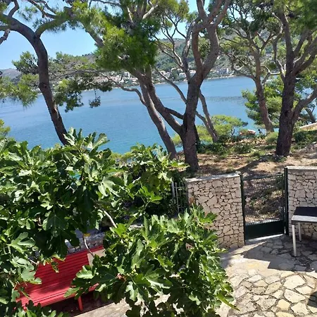 Marta Rogoznica (Sibenik-Knin)